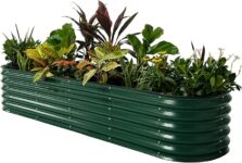 Top 10 Best Raised Garden Beds 2026